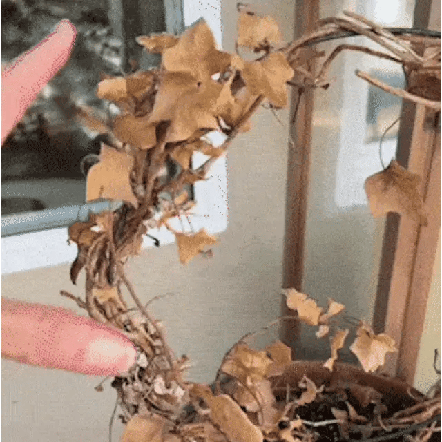 🔥Last Day 50% OFF🔥Realistic UV-Resistant Outdoor Flowers – Zero Maintenance