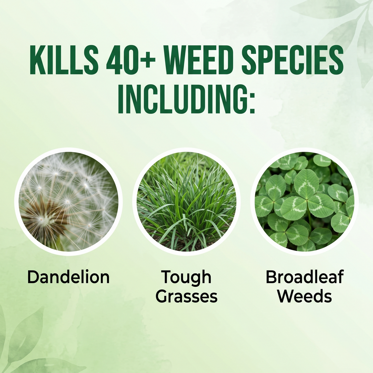🔥 Advanced 2-in-1 Pro+ Herbicide | Upgraded Formula for 6-Hour Rapid Kill, Root Eradication & Destroys Glyphosate-Resistant Weeds